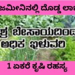 ಸಣ್ಣ ಜಮೀನಿನಲ್ಲಿ ದೊಡ್ಡ ಲಾಭ