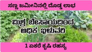 ಸಣ್ಣ ಜಮೀನಿನಲ್ಲಿ ದೊಡ್ಡ ಲಾಭ