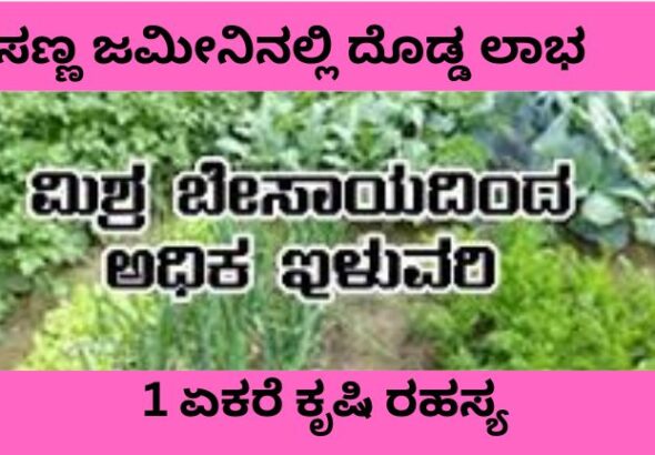 ಸಣ್ಣ ಜಮೀನಿನಲ್ಲಿ ದೊಡ್ಡ ಲಾಭ
